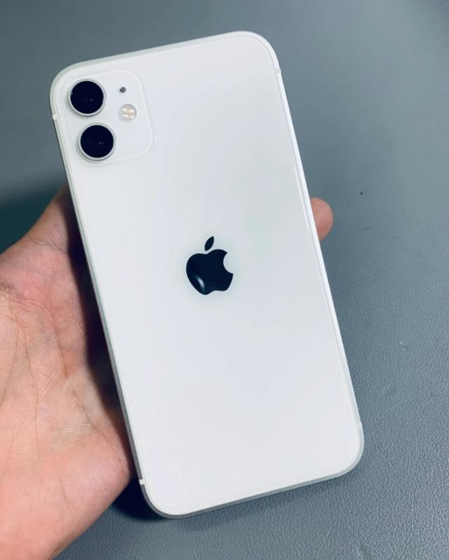 iPhone手机报价全解析，选购指南与市场行情